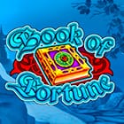 Book of Fortune screenshot